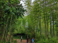 -东天目山风景区