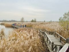 -野鸭湖国家湿地公园