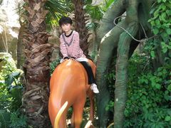 -祥源·阜阳生态乐园