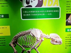 -湖南省地质博物馆