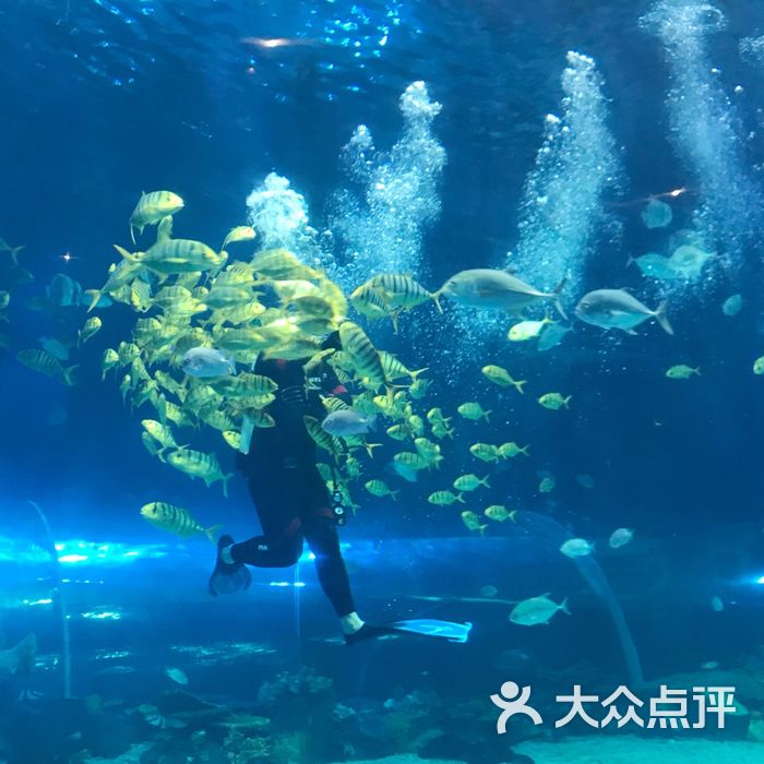 華夏文旅海洋公園圖片-北京海洋館-大眾點評網