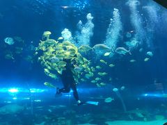 -华夏文旅海洋公园