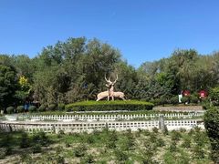 -红山公园