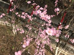 -文瀛公园
