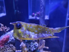 -太平洋海底世界