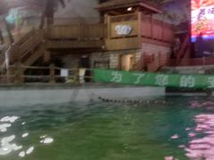 -南宫温泉水世界