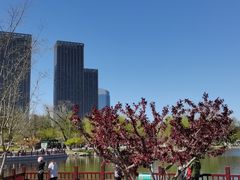 -西海子公园