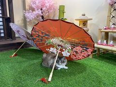 -白兔子密室(长寿路店)