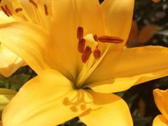 -长春公园(普阳街道)