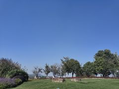 -径山花海