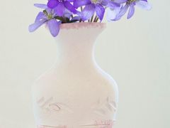 -几个木匠匠人厨房