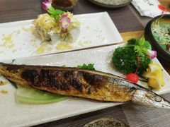 -樱の千渡日式料理·铁板烧•烧鸟(金盛田广场店)