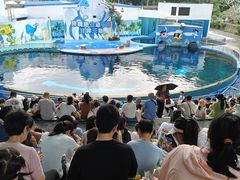 -深圳野生动物园