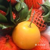 网红果冻橙哪家性价比高，我选淘菜菜！