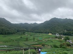 -听风阁农家私房菜茶楼(龙坞店)
