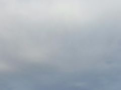 -瑰丽酒店·海吧·天际下午茶·现场DJ·天台酒吧