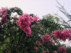 -杭州城北体育公园