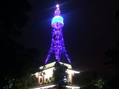 -金鸡山公园