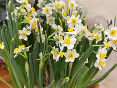 -海晖酒楼·顺德鱼生(荣华店)