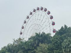 -南宁南湖公园