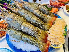 -半岛听涛蒸汽海鲜自助(K11店)