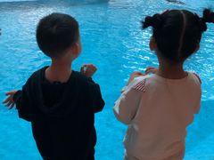 -帝企鹅自助餐厅•儿童岛•真企鹅(长隆企鹅酒店)