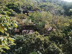 -海南槟榔谷黎苗文化旅游区