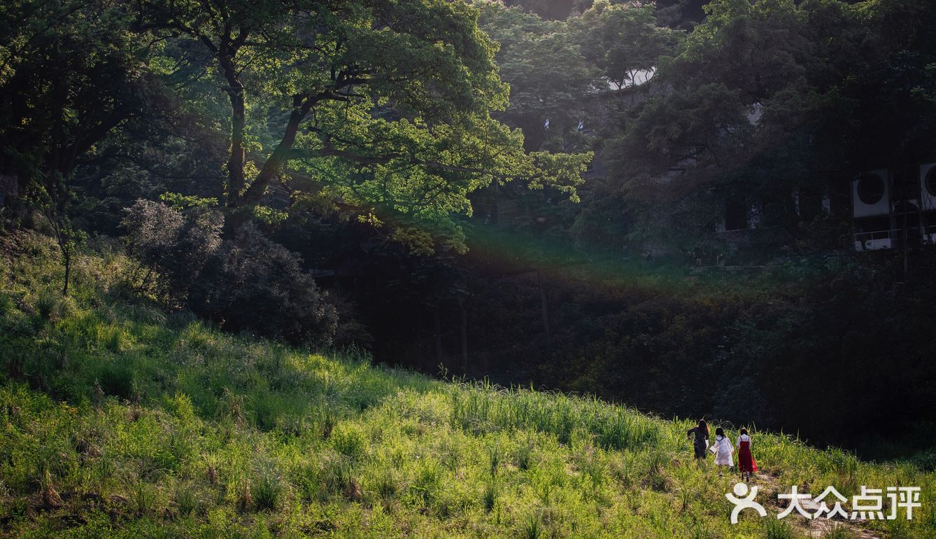 重庆小众景点｜🌳金刚碑古村落