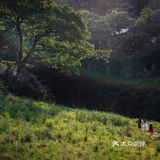 重庆小众景点｜🌳金刚碑古村落