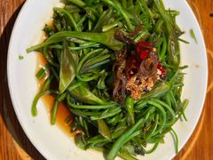 -菌自由丨野生菌火锅特色庭院餐厅(丽江古城店)