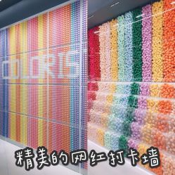 -THE COLORIST调色师