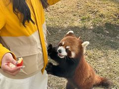 -水上乐园·欢乐世界