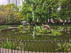 -温江公园