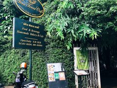 -Fern Forest Cafe