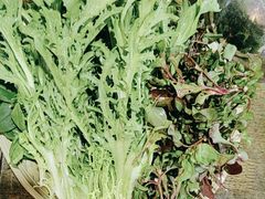 -湖锦酒楼·31年地道湖北菜(黄鹤楼店)