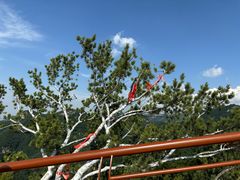 -少华山国家森林公园