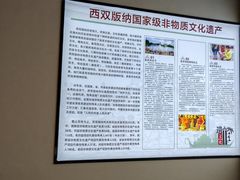 -西双版纳原始森林公园