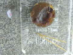 -有口福第一马蹄粉(泮塘总店)