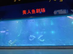 -福州罗源湾海洋世界旅游区