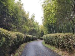 -天目湖涵田度假村