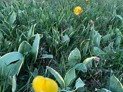 -长春公园(普阳街道)