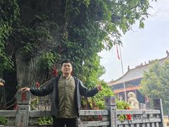 -大槐树寻根祭祖园
