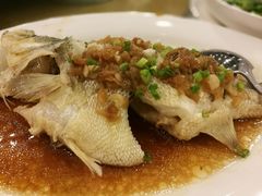 -金河半岛园林酒家(金融城店)