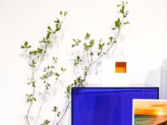-intime coffee(芝麻街店)
