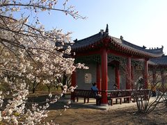 -长春市南湖公园