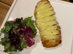 -百好乐宠物友好餐厅(朝外大街店)