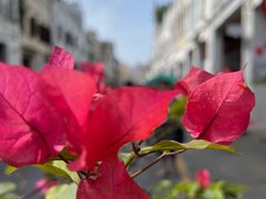 -恒兴发茶店(水巷口店)