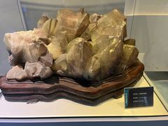 -金钉子远古世界景区