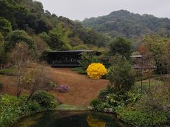 -云溪植物园