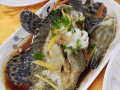 清蒸石斑鱼-板桥海鲜广场(文明东店)